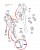 d77f99a347e1917304e53af281ec