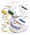 b652b2ac4f569981fcb7f762faf7
