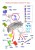 879fd9584a3eae6f8dbc9f572719