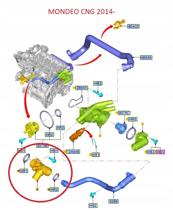 ff36acbe439fa896781045d2a711