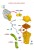 1541513_5.jpg