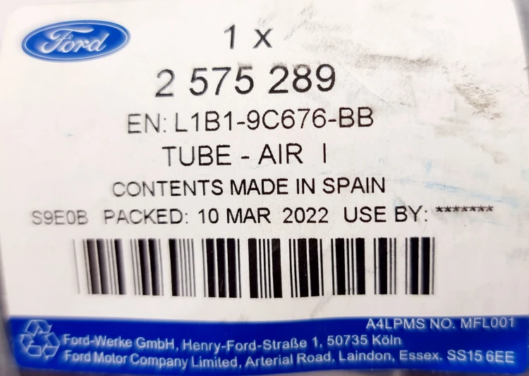 2575289.jpg