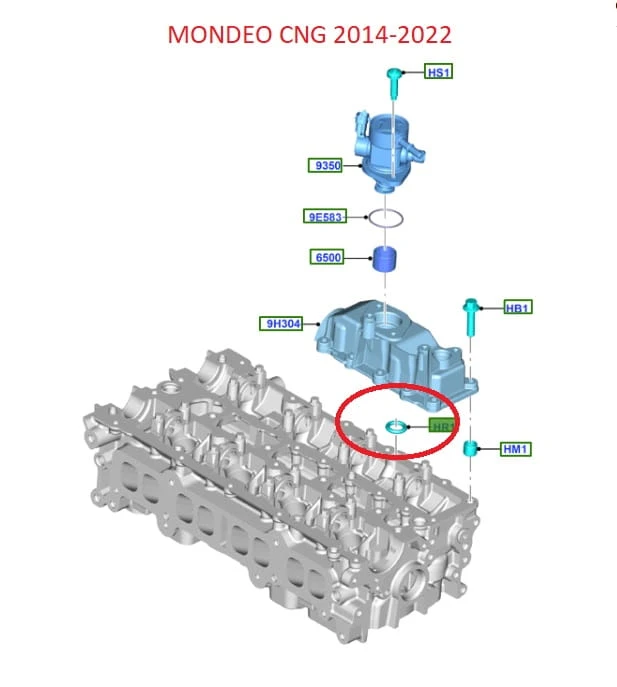 5275867_2.jpg