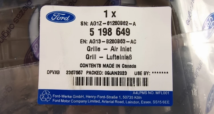 5198649.jpg