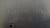 1689666_1.jpg