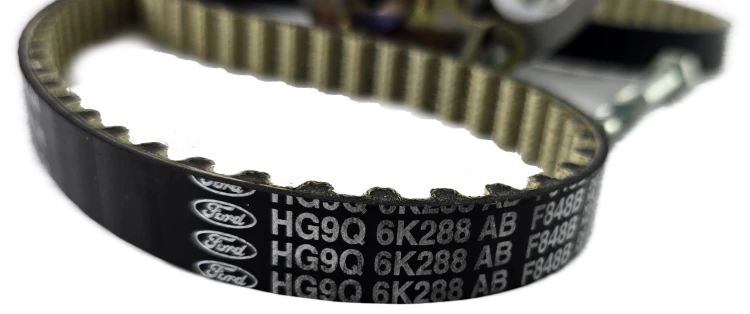 2631801_3.png