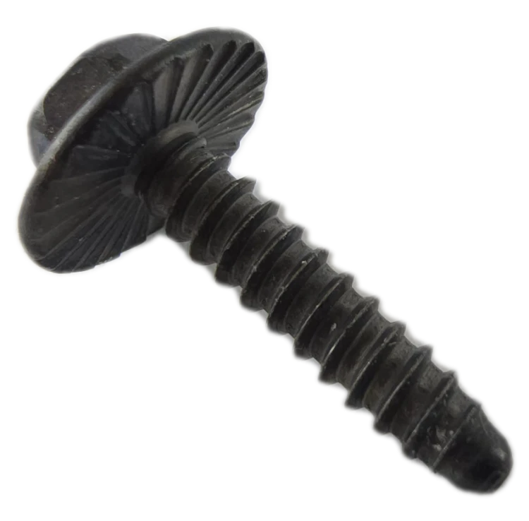 5253169_1.png