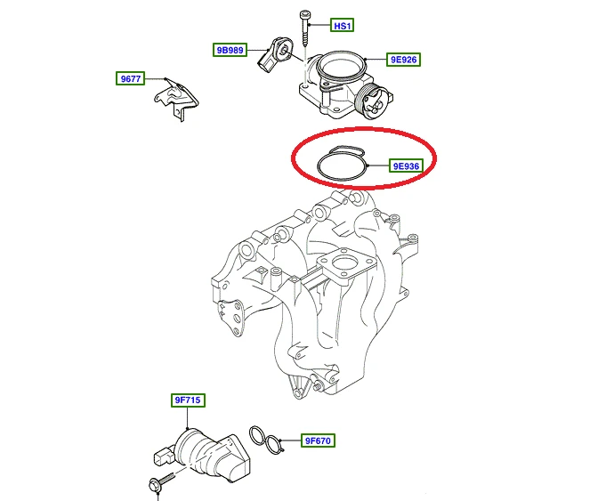 1054013.png