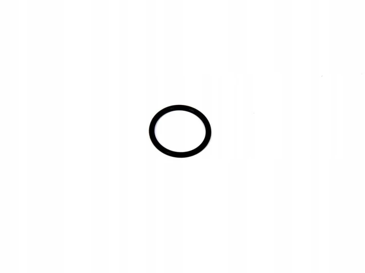 ORING-PRZEWODU-NAGRZEWNICY-KUGA-C-MAX-FOCUS-_-1342708-_-3M5H-19E889-DA.jpg