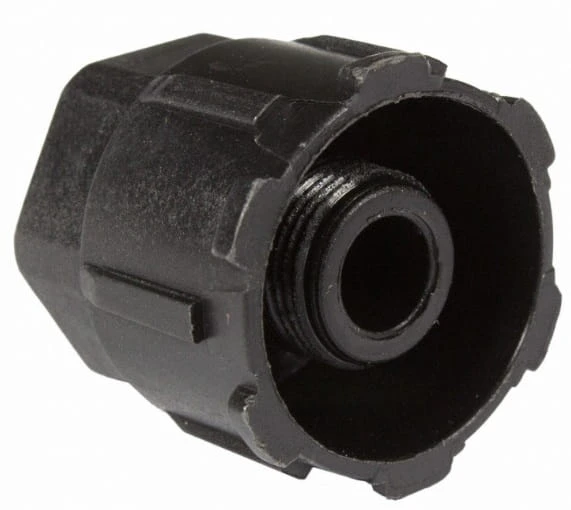 5202788.jpg