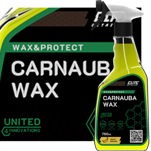 ED008 carnauba wax x 1.png