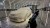 SWAG-NEUTRAL-FOAM-COLOR-8.webp
