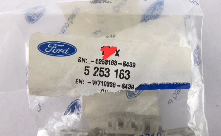 5253163.jpg