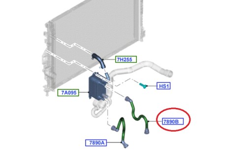 1786999.jpg